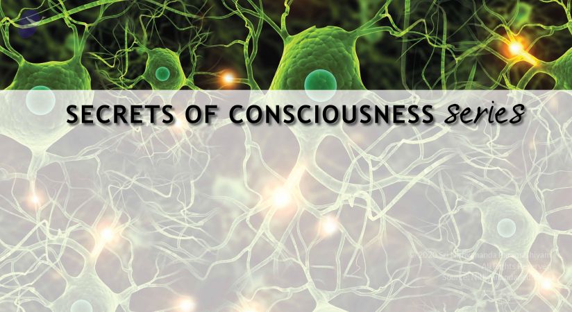 20110717 Photo 1001 1nf7rNfBt4R8HH5pA1rd-zi5w1YFaUmLr.JPG