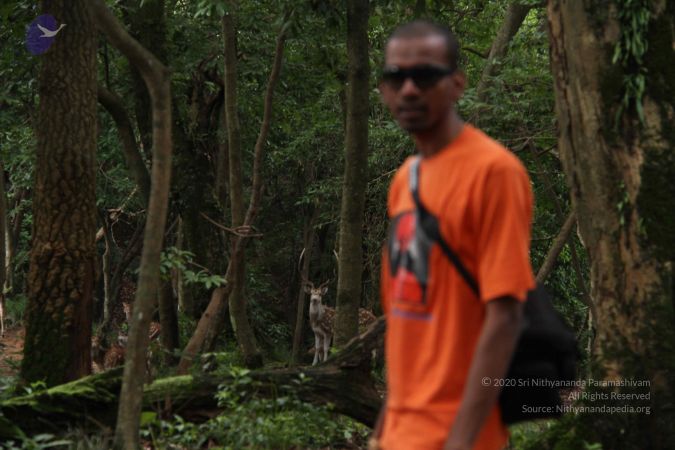 20110726 Photo 1019 1qRpS3e2a4RYObv19k4f2wnNXAfhvu0u9.JPG