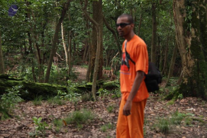 20110726 Photo 1021 1TdKdGTmvJH7wrMGOrWiwVgt4F8YzzJ76.JPG