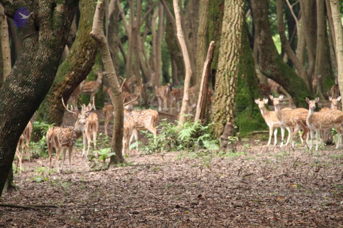 20110726 Photo 1027 17U1UX33geVaymLJvsnQYPGj2gykoQu 7.JPG