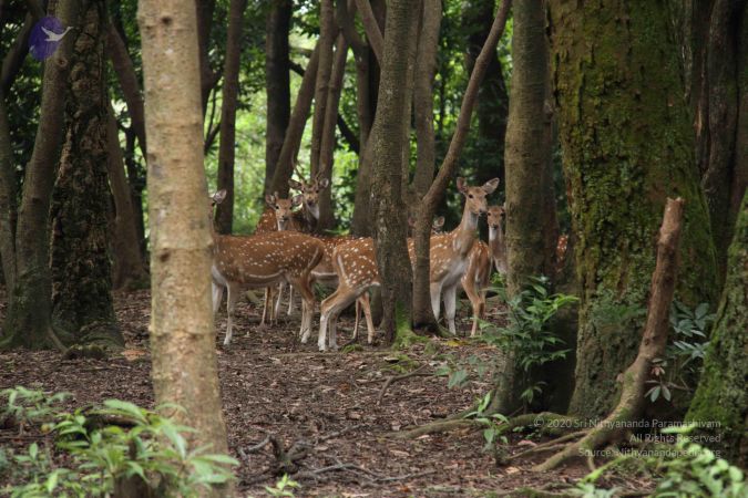 20110726 Photo 1031 12iTNzR7d 3bY8xJzSZLkNDq-woxu pFJ.JPG