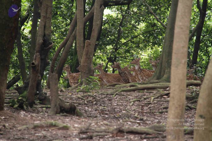 20110726 Photo 1033 1aOKwvwOJ w91i tywVNMOWvOCKpJWbRV.JPG