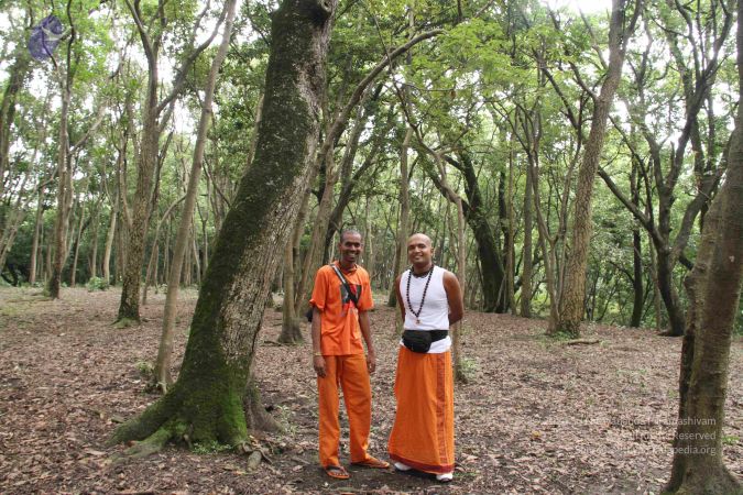 20110726 Photo 1034 1hrgz8phWE9zxVnNn80P7oqLLNhnodXND.JPG