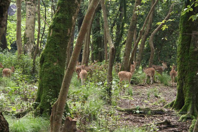20110726 Photo 1044 1ILgI-OE2nel9LkWyGAh1AQ5cq2AbsPwy.JPG