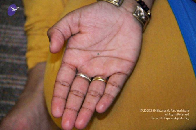 20110726 Photo 1121 1SIy7p3OTJGuuWxS1pHZwQD7M3zPdfb6W.JPG