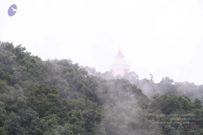 20110728 Photo 1123 1p58esTdj1Nt-g42gcsnms3rVz-1GvcRz.JPG