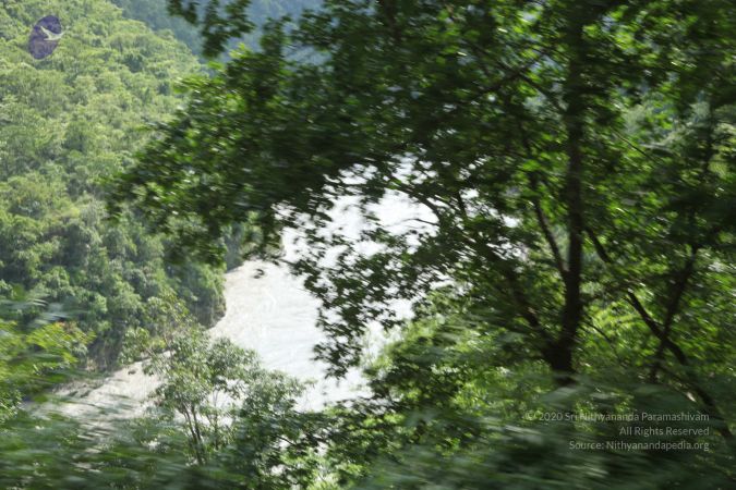 20110729 Photo 1004 1-3njkMEvhOYdg7YQDsHjszKUuYQ2lrJ3.JPG