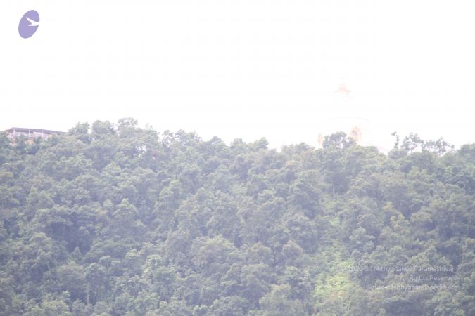 20110729 Photo 1086 1umfocV1HUKJnhlqUN9sVlf10GWsJdzSN.JPG