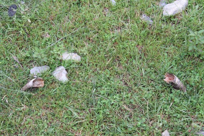 20110729 Photo 1274 1Y9B9Pk4PeqPVej4Zx5Wsoqslz-Svtxja.JPG