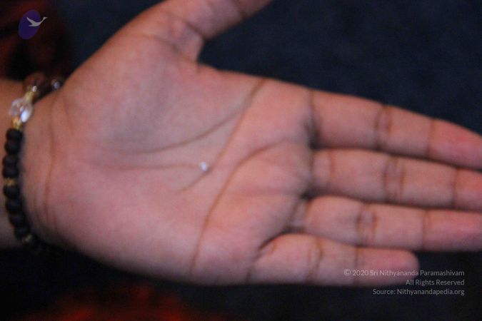 20110729 Photo 1297 1DVOZCkLn83hEYIC0dJk28ayWTzqgPgm8.JPG