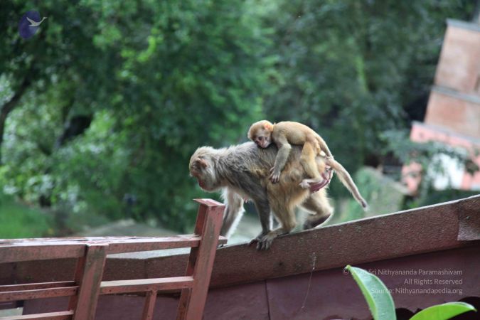 20110731 Photo 1015 1D7H1sTRkYStsM4n8uXgL5rsJ89604hPU.JPG