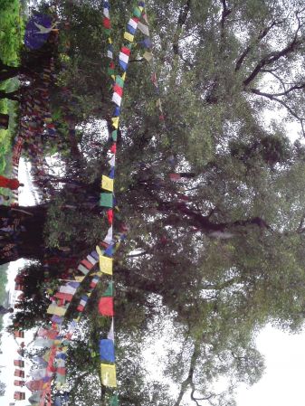 20110731 Photo 1033 19 ZKaYN5k4ItnwgOC59yYK1T91fCWip-.JPG