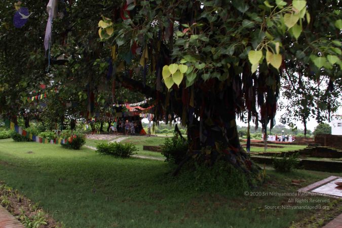 20110731 Photo 1090 19xJSXI3STwLB2VODvxzvRpfp4eXwd5 U.JPG