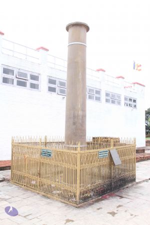 20110731 Photo 1119 1fAiih6Cys3r0myYNsHYWHmzMshqx6V-b.JPG