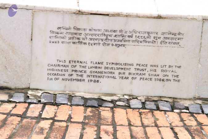 20110731 Photo 1136 1GQc lvponVYyeXM5JYm1GbmP2bczjCxU.JPG