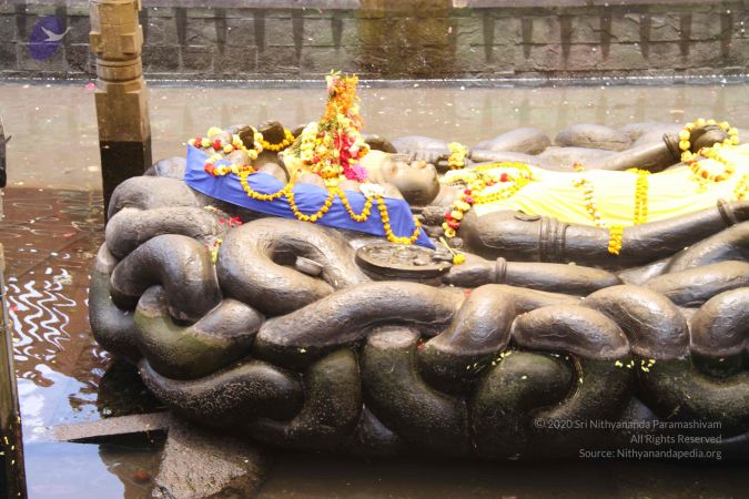 201107O1 Photo 1014 1zwKnFms1d4fNupSQfcz4WLgq8T0Cdn1O.JPG