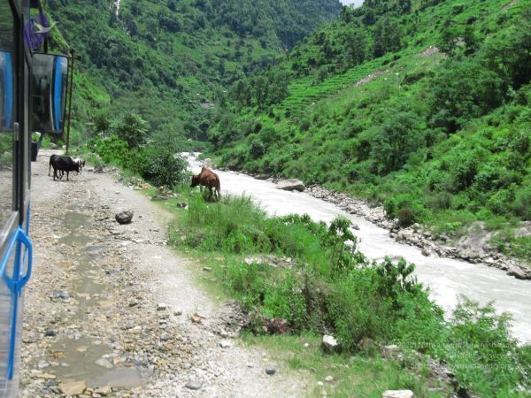 20110801 Photo 1839 1tbz~n7xVfyPGSSPXnfkaTDS4mwvov50.JPG