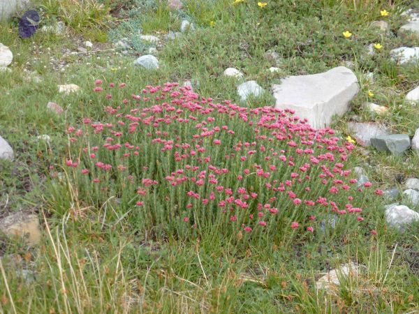 20110801 Photo 1932 1XKcLuca185H2VJqGpbSISpDFehXrao73.JPG