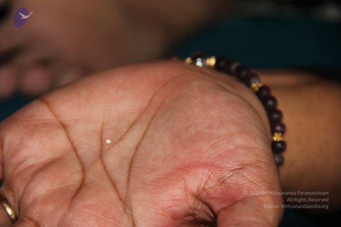 20110801 Photo 2031 1NewJzhsZTOT2YpZleMkbQgtxDDOjvieu.JPG