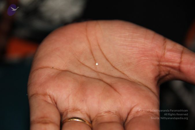 20110801 Photo 2037 1HNHUq9RjDOIEBfPBDcNxFR Z02p1YUOL.JPG