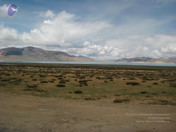 20110803 Photo 1019 1tH79z IqbbWGFjfD8NfcyHYs1ndCy1zG.JPG