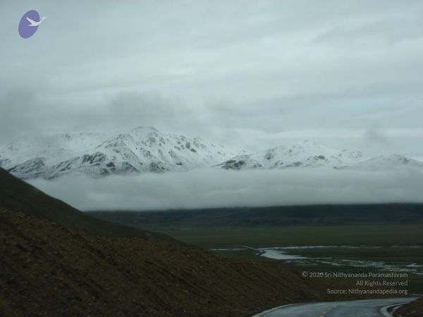 20110804 Photo 1006 1EuzXO6dVCT0s3lfXmMdsQNBiZxGQHUs8.JPG