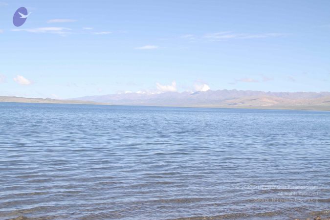 20110805 Photo 1262 1slNMCTRGEC1mRrGuP yVd uY8SY-8l H.JPG