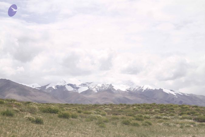 20110805 Photo 1553 1rXIXd7fQcSw4p5D-4phE81JZgqIhZNaZ.JPG