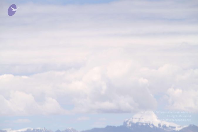 20110805 Photo 1564 1yftCAWJhhPPVdXvBLrxOtqxDxawfnO6w.JPG