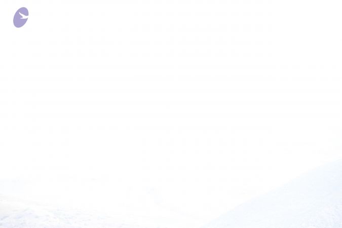 20110805 Photo 1758 1gejKgjw3lNAJX45xqTuCY8qEeyAxG6h7.JPG