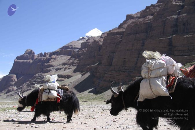 20110806 Photo 1001 1jy9WfjEU-nwYLWwRhzVbi34SqnvpOsVC.JPG