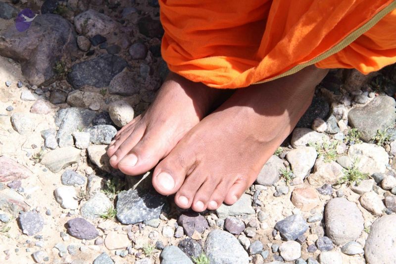 File:20110806 Photo 1002 1mUzDleXNujyTmbw27Jz3oYpofbVLJGf9.JPG