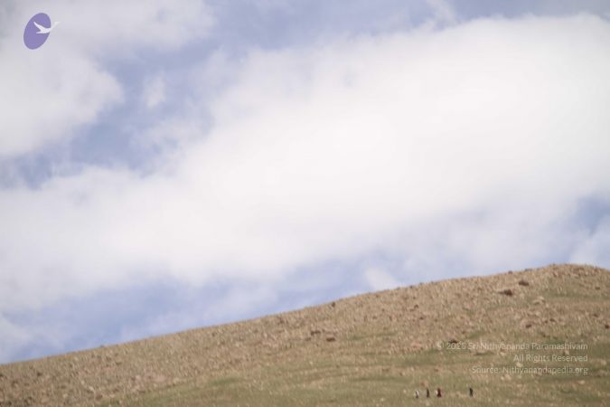 20110806 Photo 1093 1NRhR5obRYMPl7ndRNK8HYNnecBKVhAJS.JPG