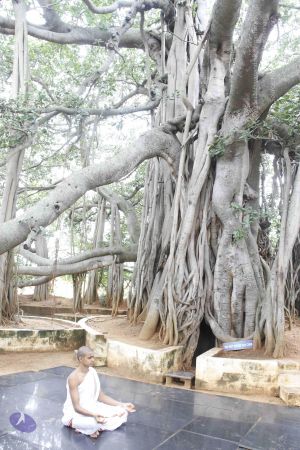 20110808 Photo 1009 1k dJ700lgJ1JhNnF2GASOrEgBfh wsWq.JPG