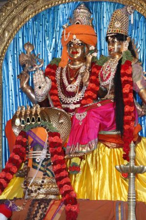 20110808 Photo 1042 1OBP6ynedS2ggzDO5XXNvJVypvf8w8J-R.JPG