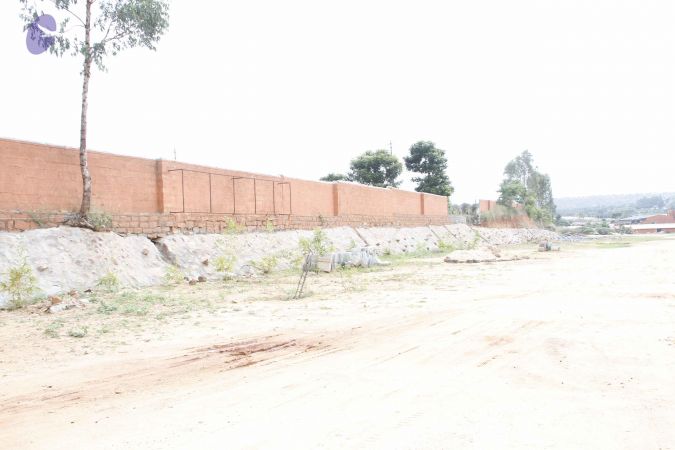 20110808 Photo 1096 1BkFRUcS5scWc0uMkzFY4JICUSZI6m U6.JPG