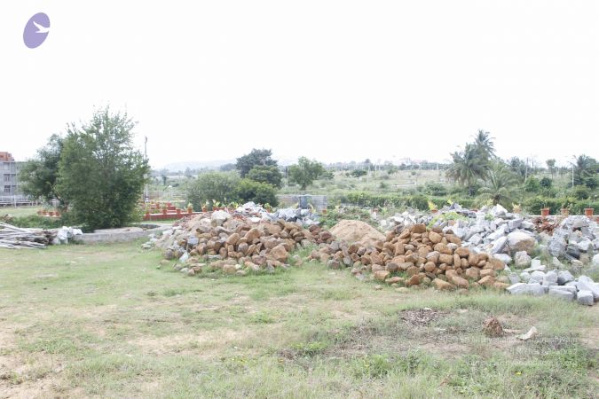 20110808 Photo 1132 1kgdf9ji25zuS0-Aiy1RgDTt1vzYH4csE.JPG