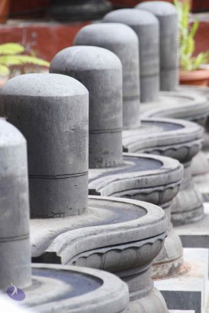 20110808 Photo 1157 1d1ThJioiSZgDpMIw6tz nZQ5 JoDnbNH.JPG