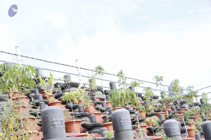 20110808 Photo 1166 1-b3E59XxHbQ8NsfLjLqXKOtDzRj kNyh.JPG