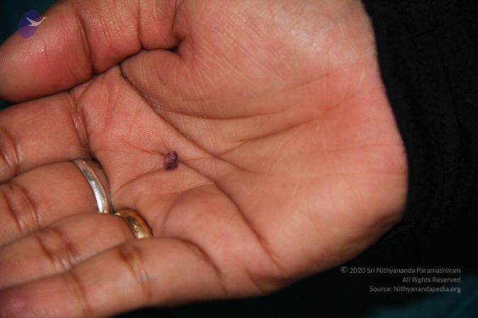 20110810 Photo 1008 19q0uuvUpvhLqTesebKUKNl W7q5nzr5X.JPG