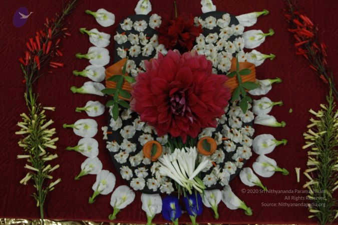 20110810 Photo 1022 1O2Obo0d84j5SYAEDQZQ9h MQDEBWpRtW.JPG