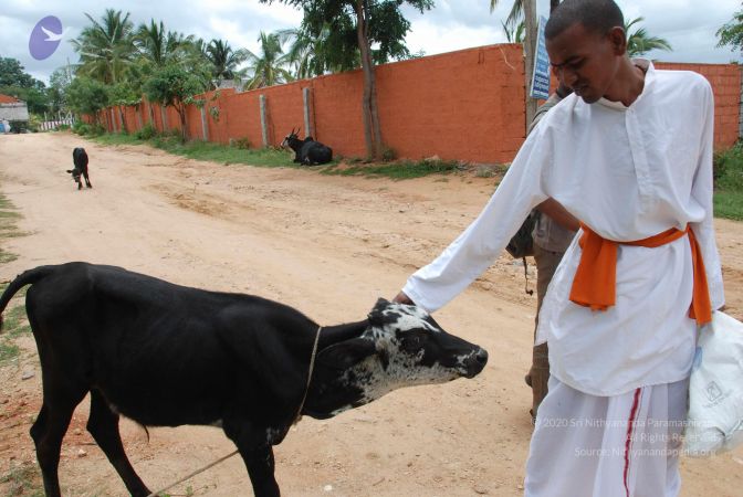 20110810 Photo 1028 1X-n2IjpkgaoFIJP--5c5A5PdViiRtK9S.JPG