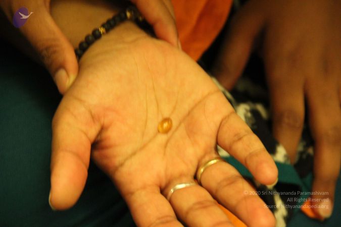 20110810 Photo 1029 1b8todHnEMLjrrz33qXcq19ysnq9UIl E.JPG