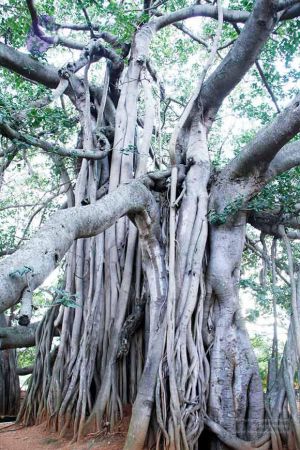 20110810 Photo 1033 13096itCOGNtrNJHYM8kBmSwz-jUbOEux.JPG