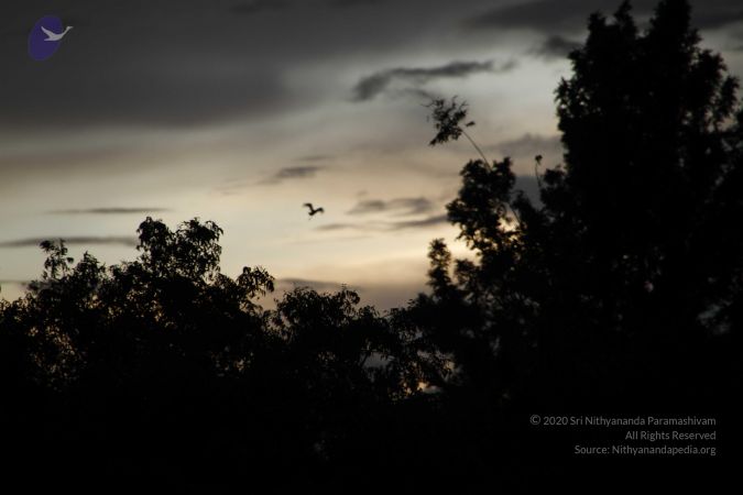 20110810 Photo 1054 1GCqimzaDzUYSmcIdcb2-KhhfNKSudXMT.JPG