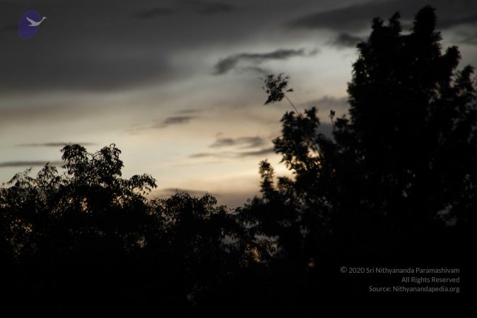 20110810 Photo 1056 10L7-B-vq5jvXYBsdDh 1tH79CNf8qg9v.JPG