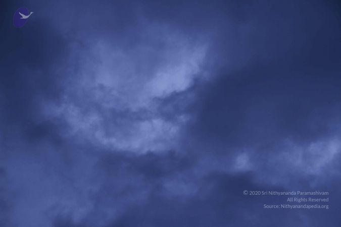 20110810 Photo 1061 1q3cfM6xU698A5al1CCciDBNtVxDW iW5.JPG