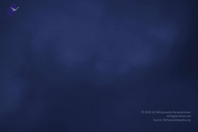 20110810 Photo 1062 1YT4x7oSWO0n-lR2jTT A v69xSTcVAah.JPG