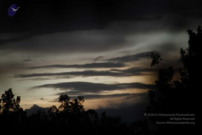 20110810 Photo 1067 18tsTBmGqfJC8zTRu5-L9sbPEEM8W8aBU.JPG