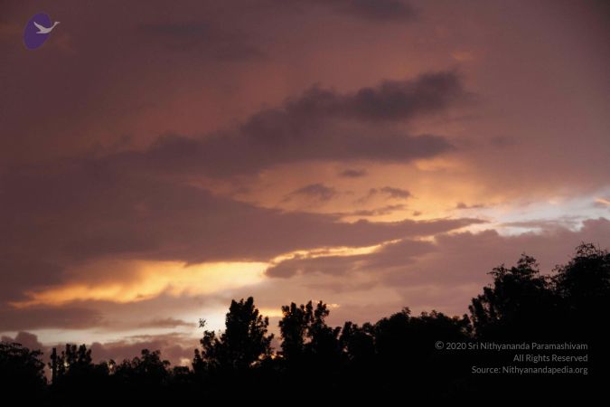 20110810 Photo 1073 1wVQn1kmPcbT4 -AbGbiai2CjouGVPosM.JPG